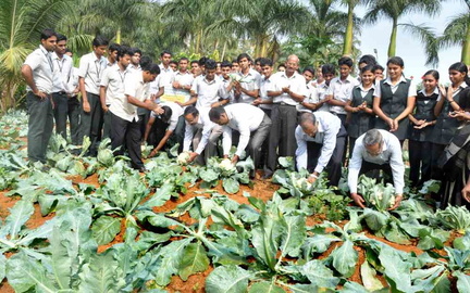 Learn technology in the company of nature - SWAN